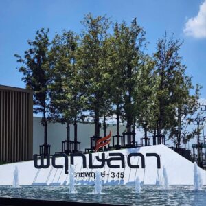 372767144 729752669167158 4073044587256585531 n