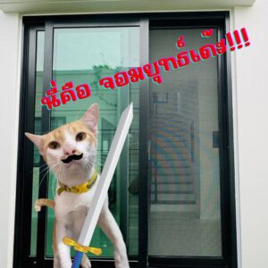 มุ้งลวดอยุธยา.com บริการ ช่างมุ้งลวดอยุธยา รับติดมุ้งลวด 52 433443538 846324097510014 5730268537546355337 n