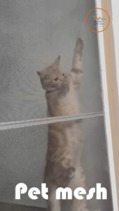 441396874 1605809976820417 1511722757592872940 n