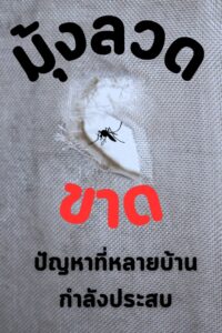 444761757 781491717500955 2645732453710540099 n