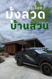 460965107 854514026865390 8502266976259684172 n