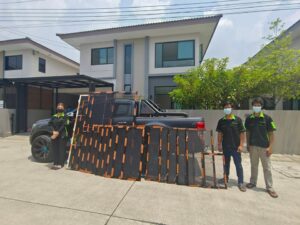 343773688 555644780010208 997316432411937381 n