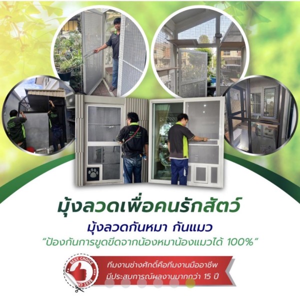 666026724 1278834461100009 8557166532926818059 n